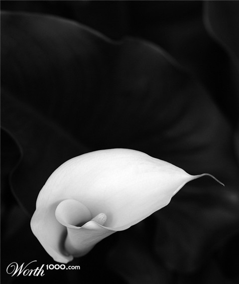 Photography by toscio