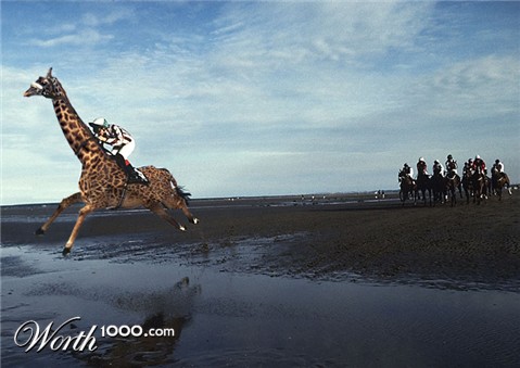 Photoshop Design by thw777