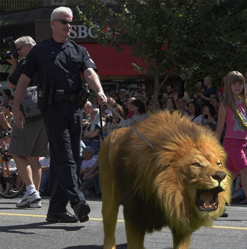 Photoshop Design by lucimine for DesignCrowd (Community Contests) | Design #8982321