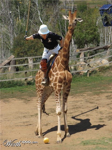 Photoshop Design by WhiteFly