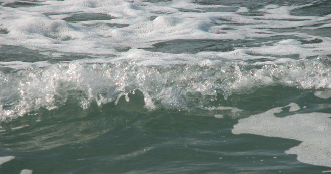 Photography by Avigayil for DesignCrowd (Community Contests) | Design #8977949