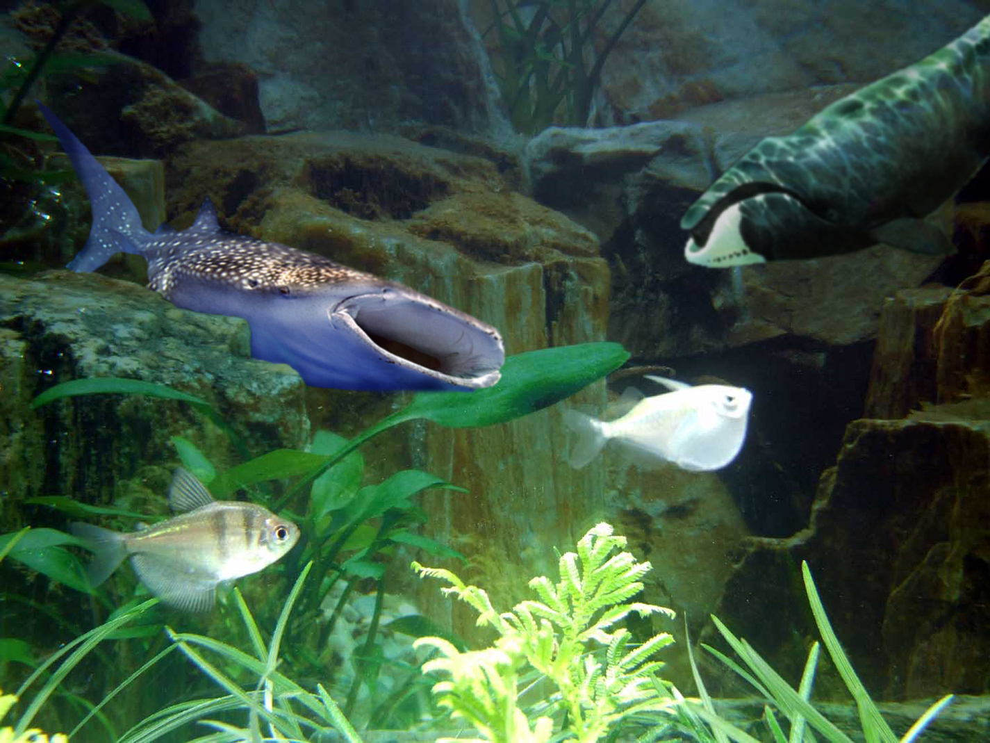 Photoshop Design by jaysin777 for DesignCrowd (Community Contests) | Design #8982356