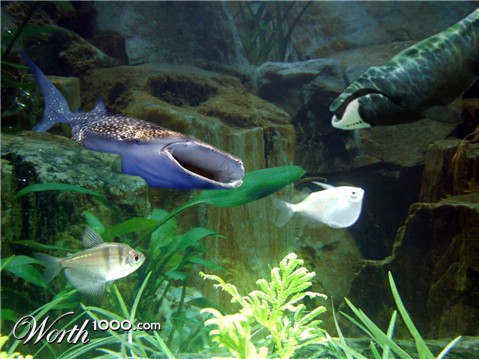 Photoshop Design by jaysin777