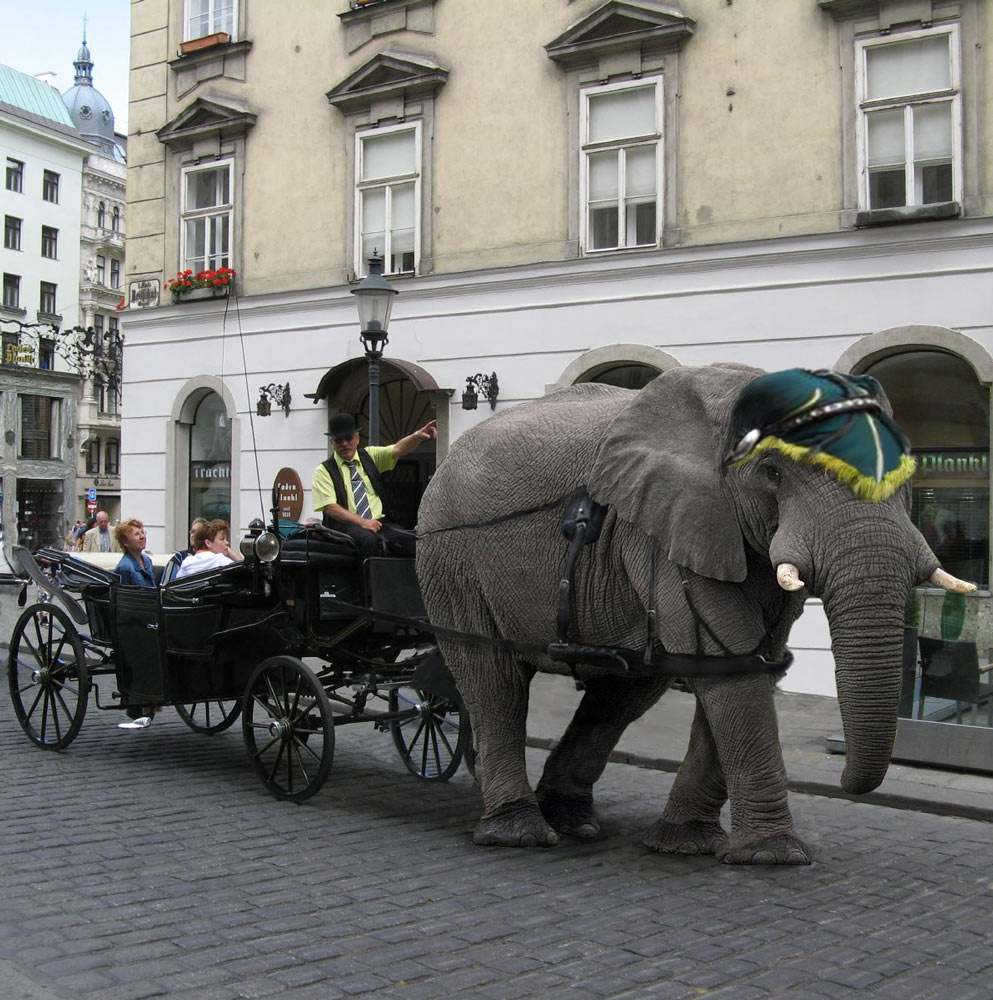 Photoshop Design by Vinetta for DesignCrowd (Community Contests) | Design #8982328