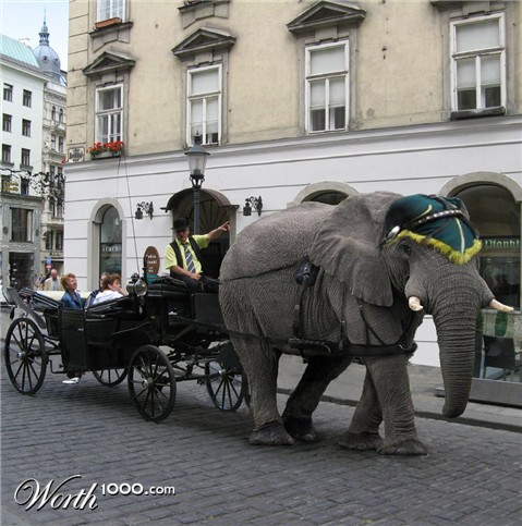 Photoshop Design by Vinetta