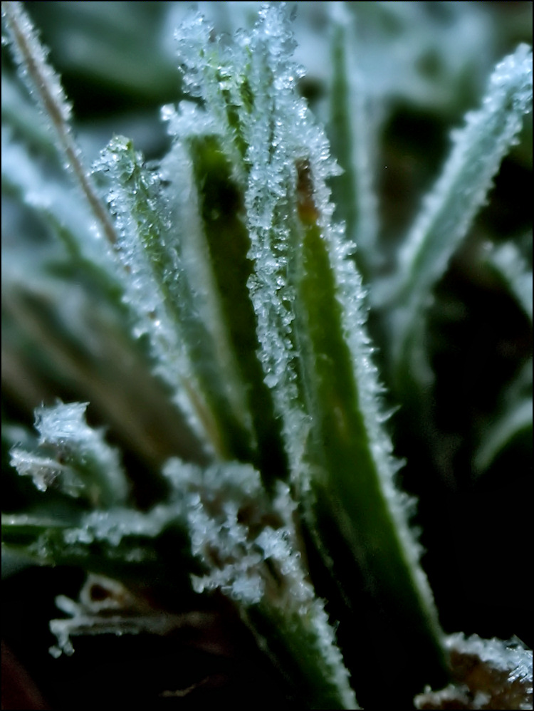 Photographie par learn2swim96 pour DesignCrowd (Community Contests) | Design #8977958