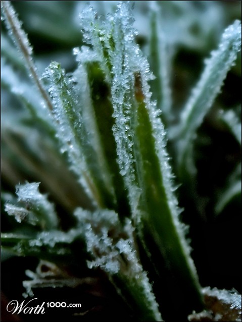 Photography by learn2swim96