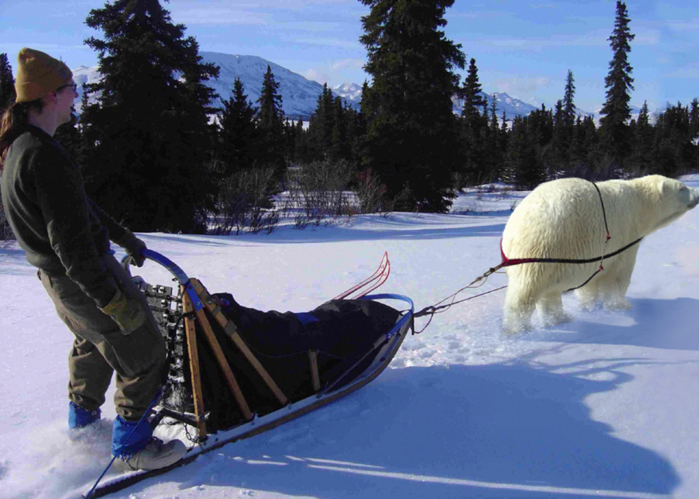 Design Photoshop par fanucci pour DesignCrowd (Community Contests) | Design #8982414