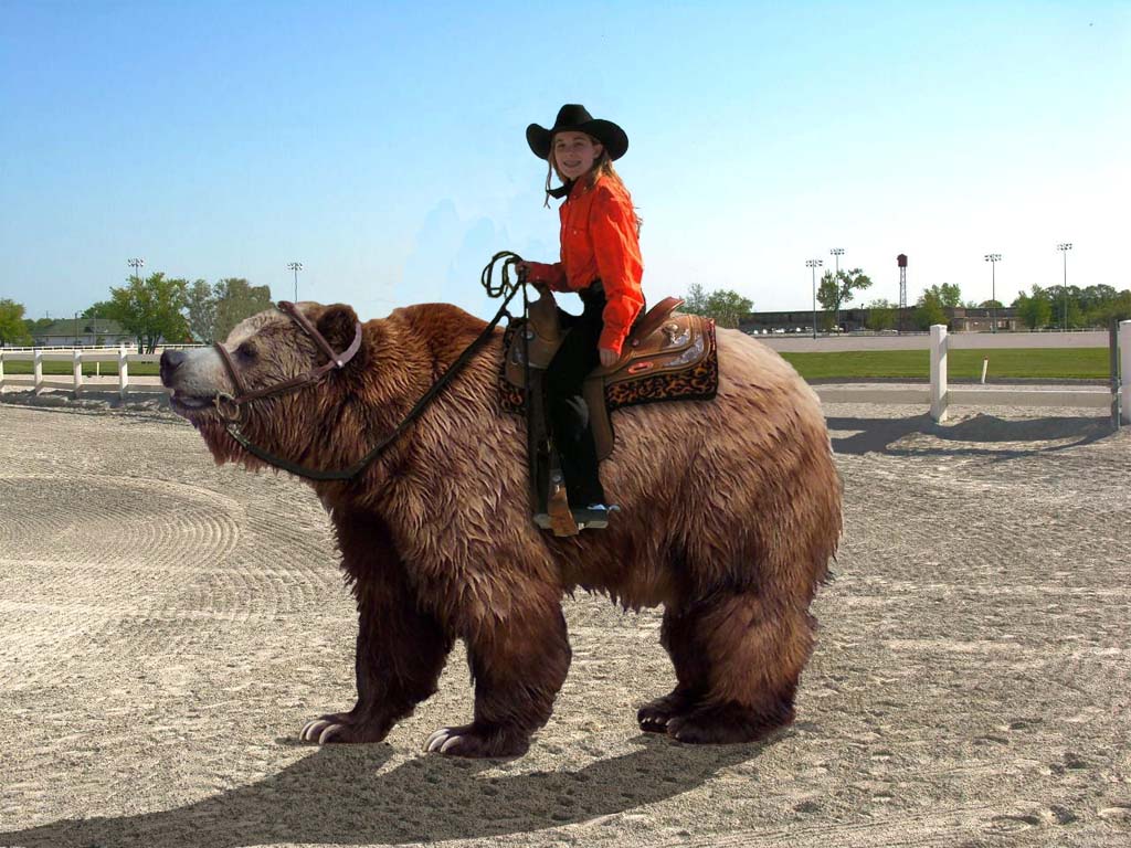 TIL In Western Colorado, bears are a popular alternative to