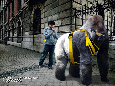 Photoshop Design by MarcSTLouis