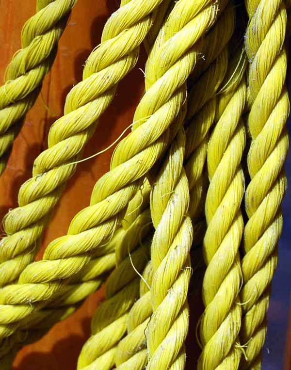 Fotografie von Tiffa130 für DesignCrowd (Community Contests) | Design #8977953