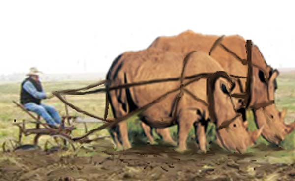 Design Photoshop par totallyartistic pour DesignCrowd (Community Contests) | Design #8982364