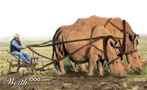 Photoshop Design by totallyartistic