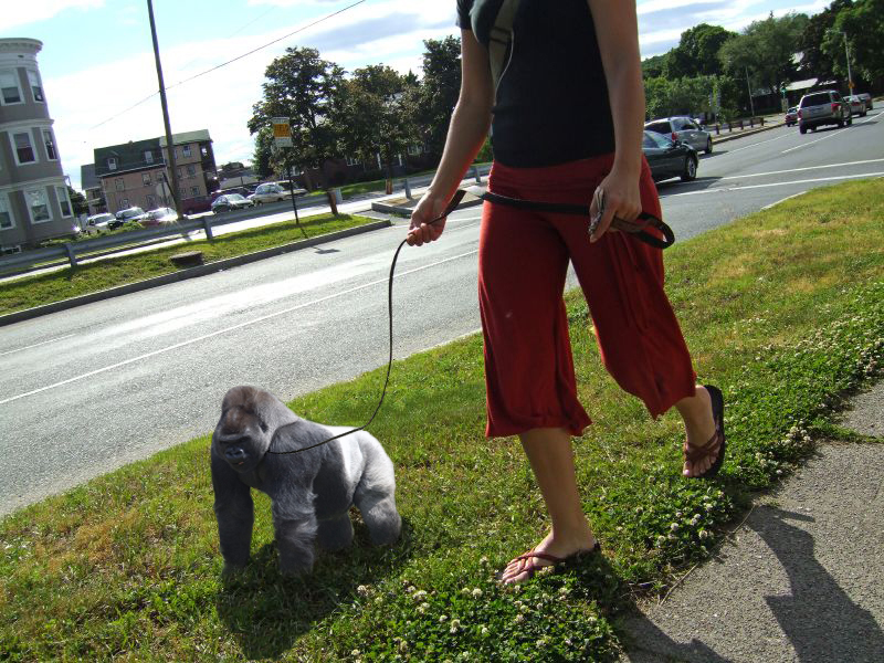 Photoshop Design by error5001 for DesignCrowd (Community Contests) | Design #8982333