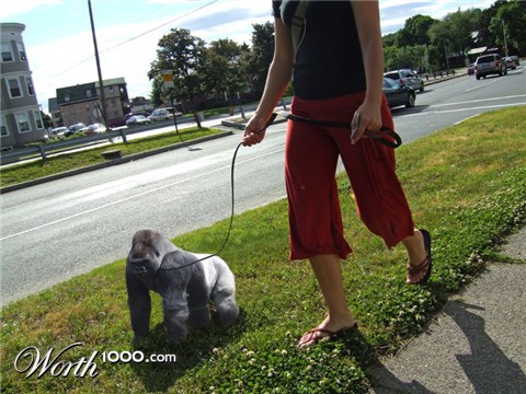 Photoshop Design by error5001