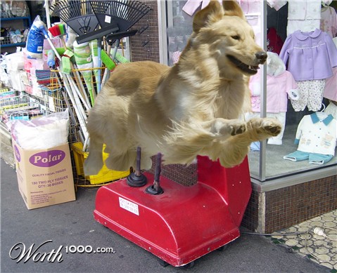 Photoshop Design by ESCreative