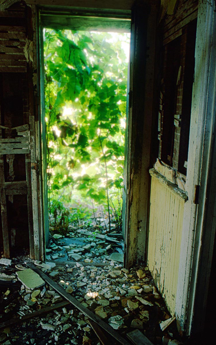 Photographie par northman pour DesignCrowd (Community Contests) | Design #8976154