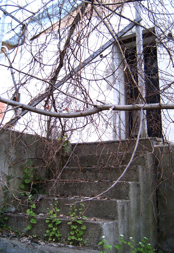 Photography by ravenastoria for DesignCrowd (Community Contests) | Design #8976149