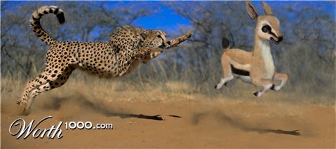 Photoshop Design by arrobarriba