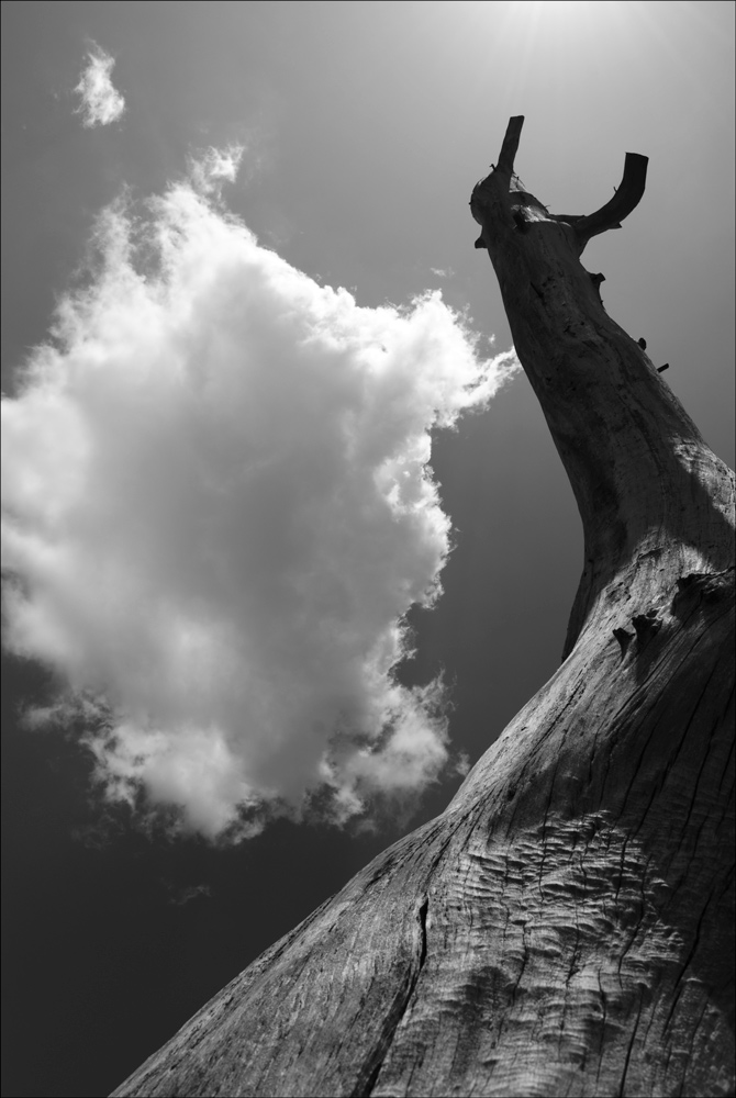 Photography by mysterio for DesignCrowd (Community Contests) | Design #8981896