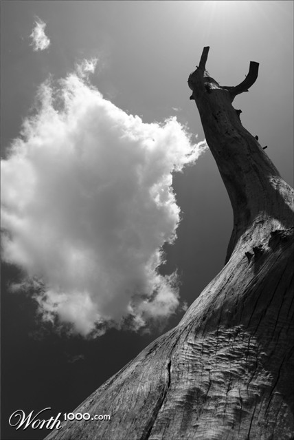 Photography by mysterio