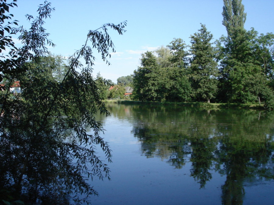 Photographie par DonGebletto pour DesignCrowd (Community Contests) | Design #8981909