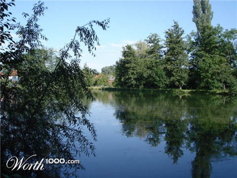 Photography by DonGebletto