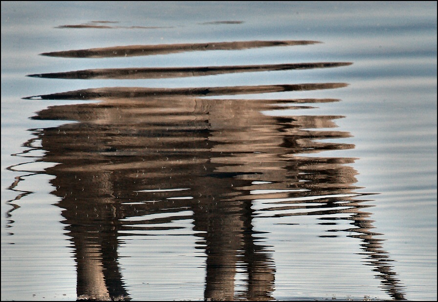 Photography by Juicer for DesignCrowd (Community Contests) | Design #8981899