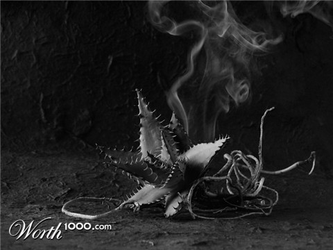 Photography by RanaDias