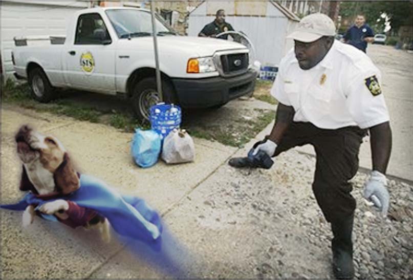 Photoshop Design by amywho for DesignCrowd (Community Contests) | Design #8981092