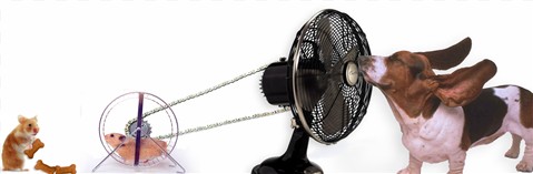 Photoshop Design by SchrodingersCatHome