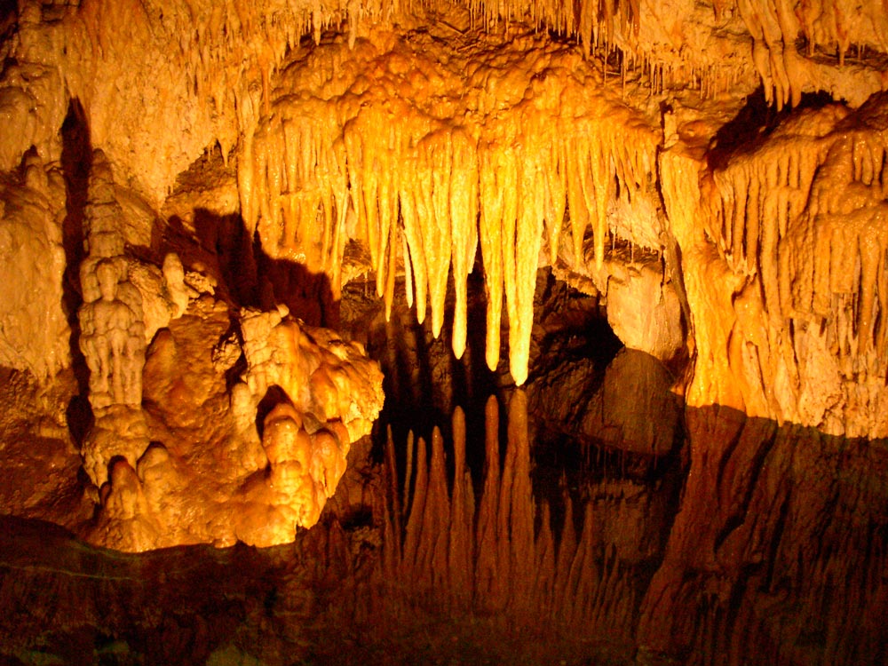 Photographie par amorfic pour DesignCrowd (Community Contests) | Design #8982013