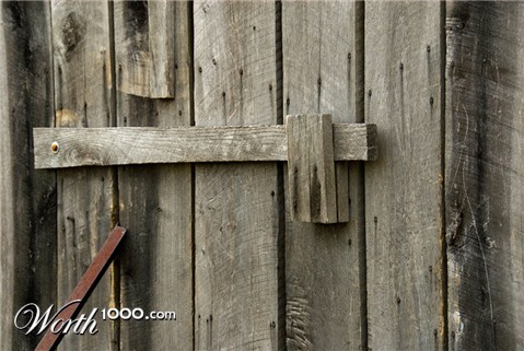 Photography by cshutt