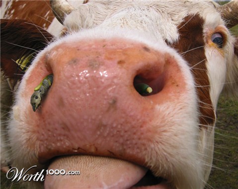 Photoshop Design by doehlman