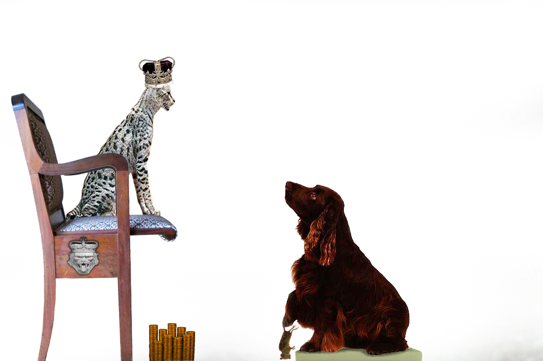 Diseño de Photoshop por alesiphoto para DesignCrowd (Community Contests) | Diseño #8983290