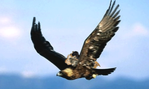 Photoshop Design by WorthyNick for DesignCrowd (Community Contests) | Design #8983285