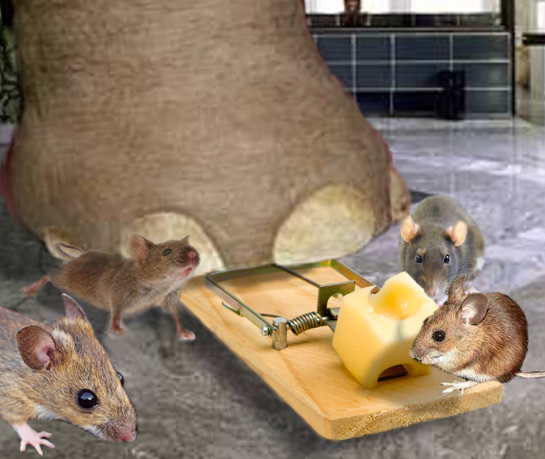 Diseño de Photoshop por neobuna para DesignCrowd (Community Contests) | Diseño #8983248