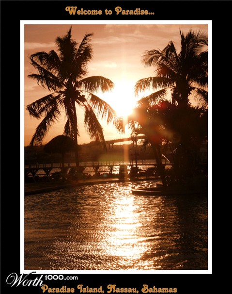 Photography by steviecald