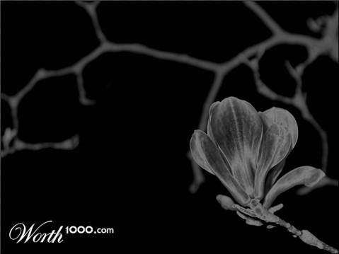 Photography by egonlinden