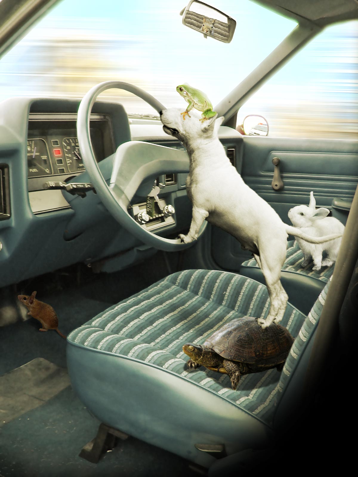 Photoshop Design by Fallout for DesignCrowd (Community Contests) | Design #8983352
