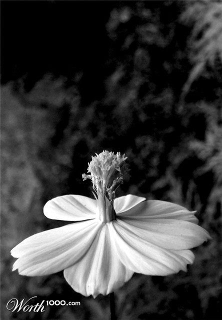Photography by vastopenspaces