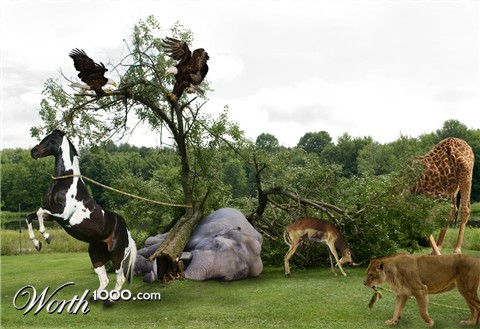 Photoshop Design by fanucci