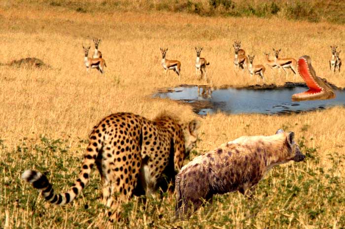 Photoshop Design by JDAWG32 for DesignCrowd (Community Contests) | Design #8983297