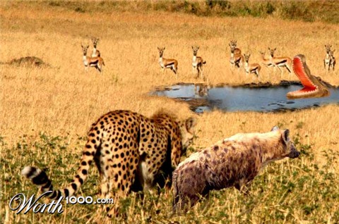 Photoshop Design by JDAWG32