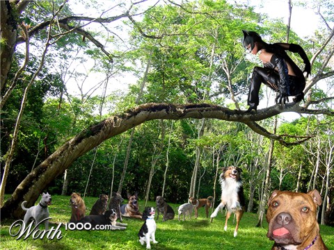 Photoshop Design by marlin70