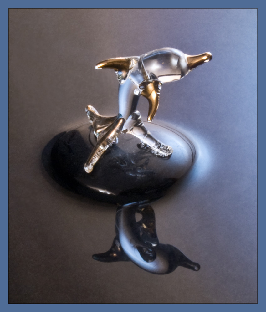 Photography by ClickChick for DesignCrowd (Community Contests) | Design #8981992