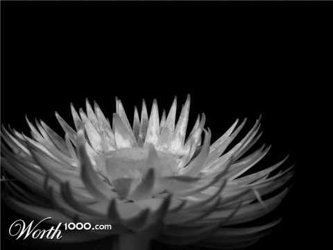 Photography by Feature