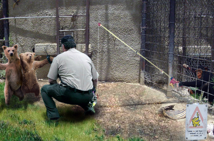 Photoshop Design by Mushon for DesignCrowd (Community Contests) | Design #8983345