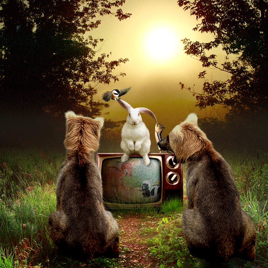 Photoshop Design by melian1224 for DesignCrowd (Community Contests) | Design #8983305