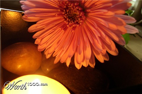 Photography by roro36463
